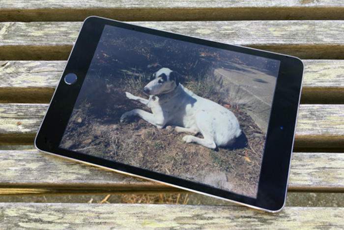 iPad mini 5 может стать самым скучным, а также самым ожидаемым продуктом Apple в ближайшем будущем