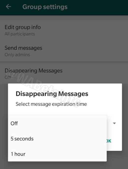 WhatsApp может получать исчезающие сообщения