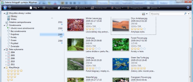 Как импортировать файлы разных форматов в Windows Photo Gallery