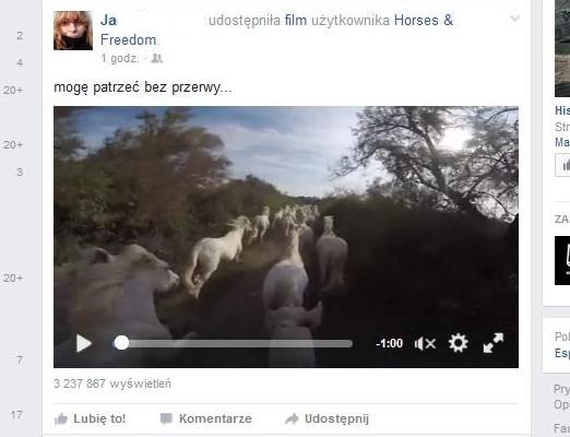 Как сохранить видео с Facebook?