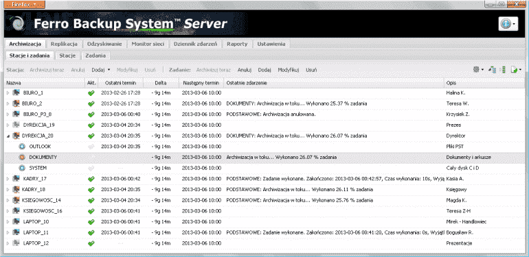 Ferro Backup System
