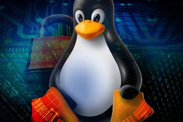 Что такое Linux?  Все, что вам нужно знать об открытой операционной системе