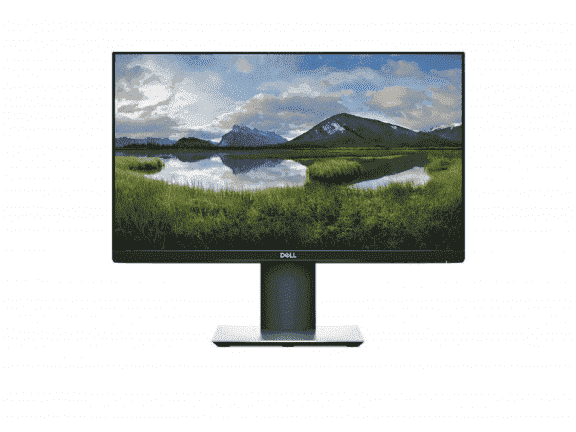 Dell P2419H
