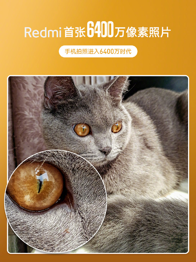 Новый Redmi с 64-мегапиксельной камерой?