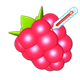 Raspicheck_1