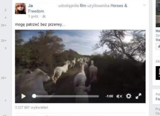 Как сохранить видео с Facebook?