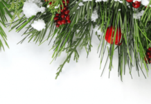 Рождественские подарки – проверьте наши предложения