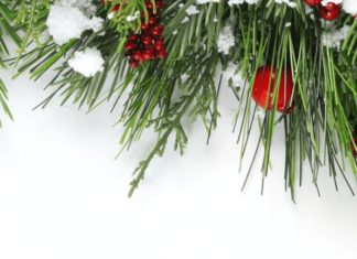 Рождественские подарки – проверьте наши предложения