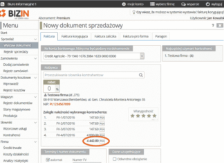 Бизин Премиум