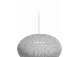 Google Home Mini Chalk