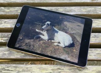 iPad mini 5 может стать самым скучным, а также самым ожидаемым продуктом Apple в ближайшем будущем