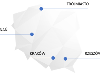 «Блокировка реестра» – домен .pl теперь можно защитить от кражи