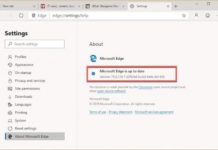 Edge – бета-версия, утечка версия для … MacOS