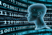 Четыре наиболее важных элемента кибербезопасности для малого бизнеса