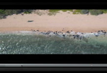 Samsung Galaxy Fold 2 (Galaxy Bloom) дебютирует как Galaxy Z Flip