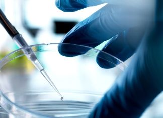 Зараз Флорида є притулком для неперевірених методів лікування стовбуровими клітинами